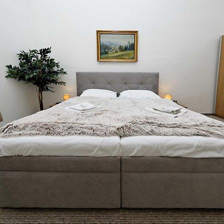 Apartments U Cisare 布拉格 外观 照片